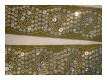 Handbestickte Borte Olivgr�n Silber